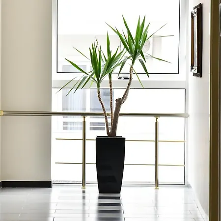 Hotel Elite